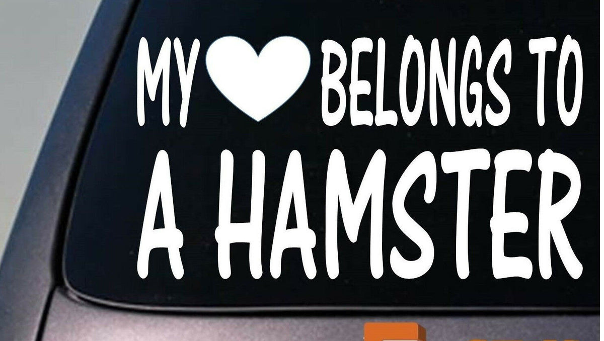 My Heart Belongs to a Hamster Vinyl Decal