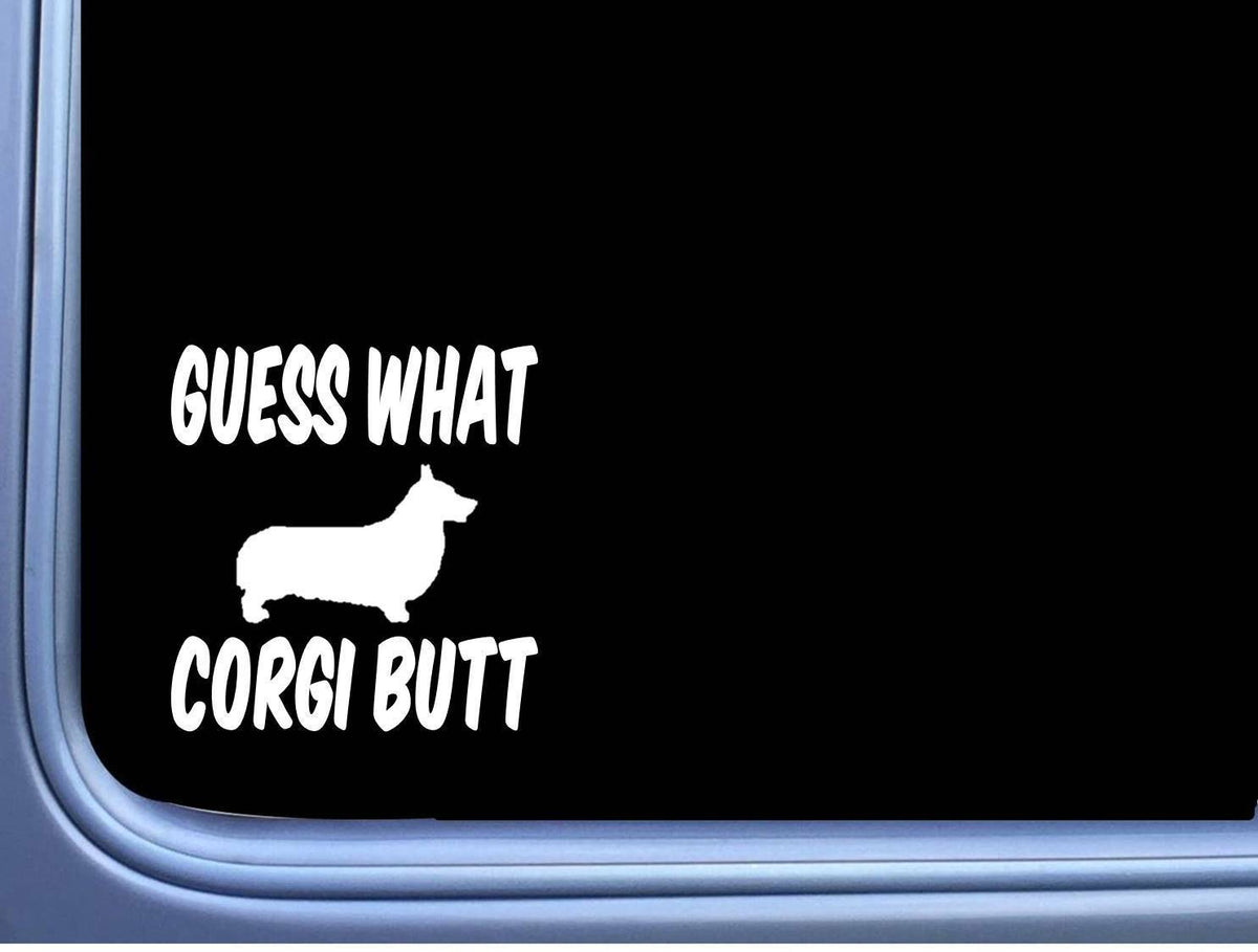 Guess What Corgi Butt Vinyl Decal – 6 Inch