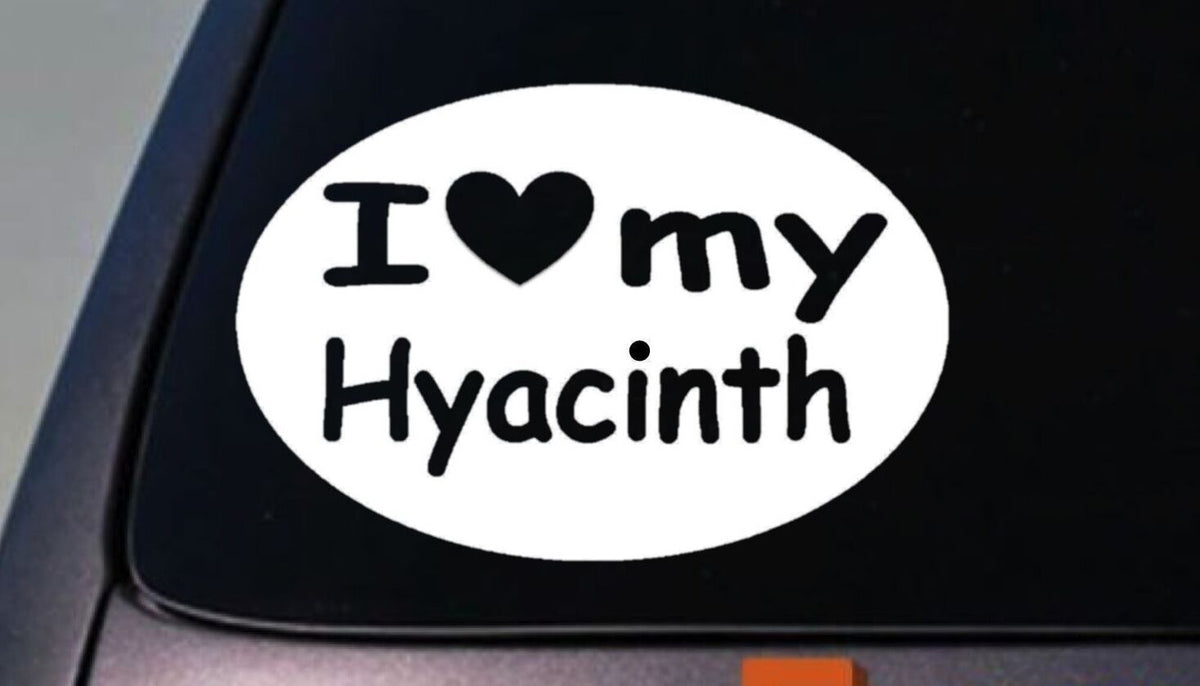 I Love My Hyacinth Macaw Parrot Vinyl Decal – 6 Inch