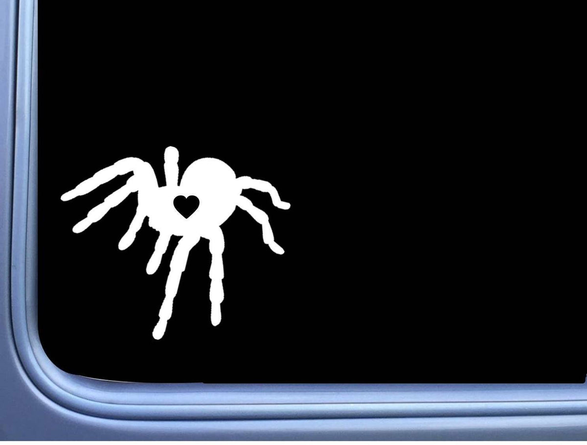 Tarantula Lil Heart Vinyl Decal – 6 Inch