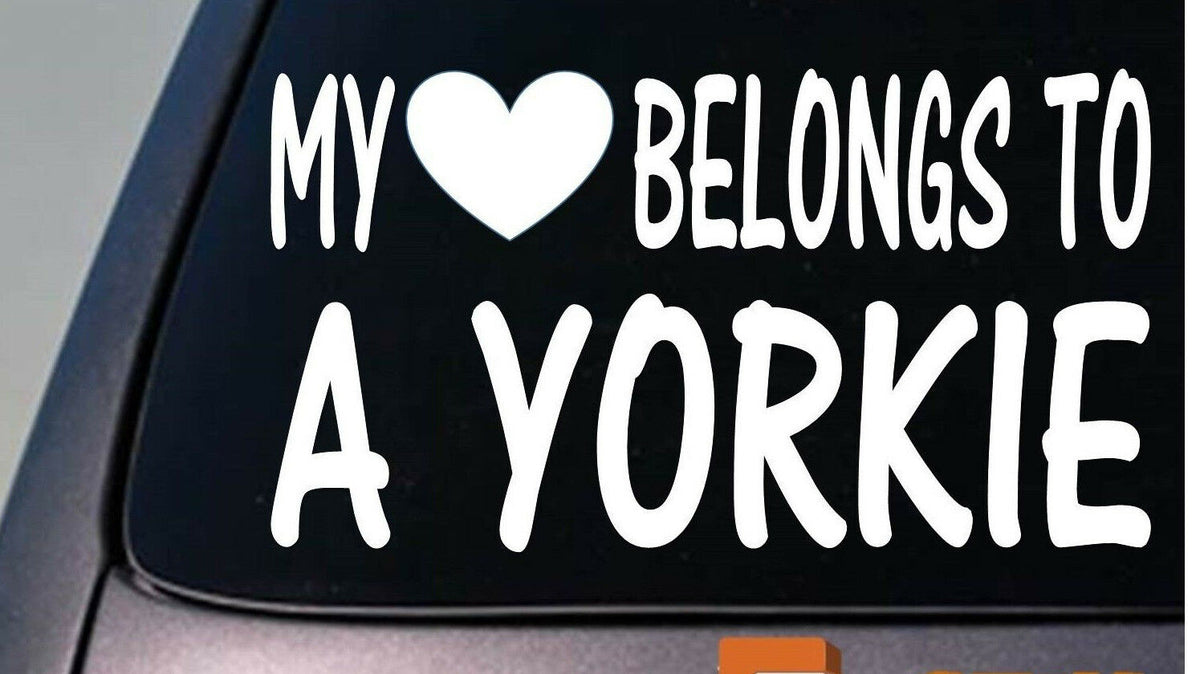 My Heart Belongs to a Yorkie Vinyl Decal