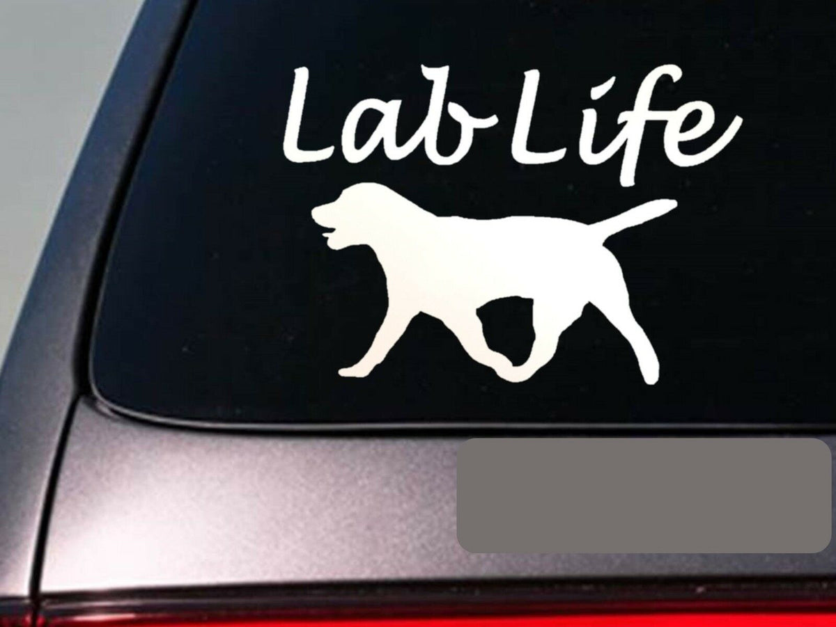 Lab Life Vinyl Decal – 6 Inch