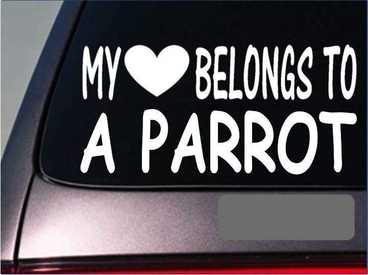 Parrot My Heart Belongs Vinyl Decal – 8 Inch