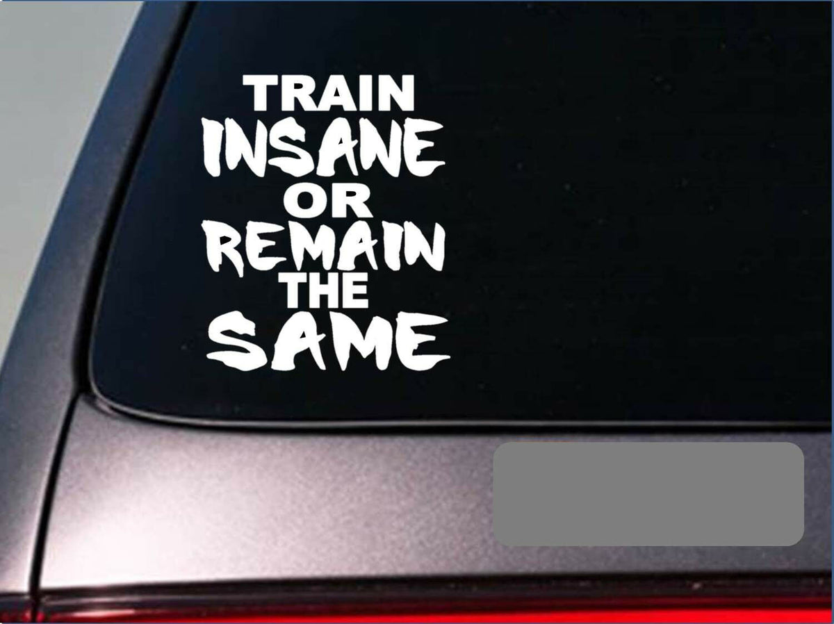 Train Insane Vinyl Decal – 6 Inch