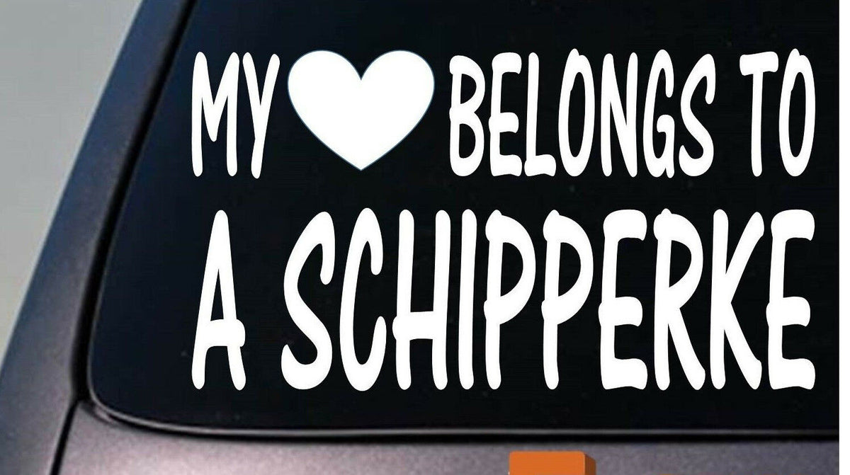 My Heart Belongs to a Schipperke Vinyl Decal