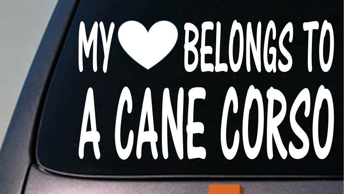 My Heart Belongs to a Cane Corso Vinyl Decal