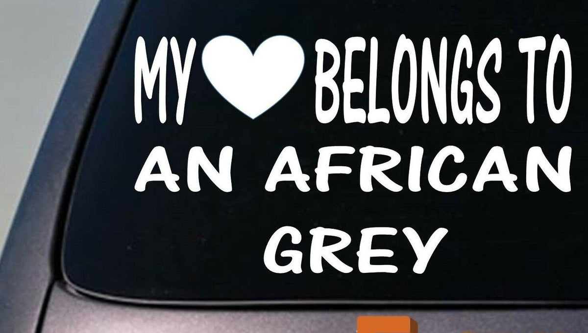 My Heart Belongs to a African Grey Vinyl Decal