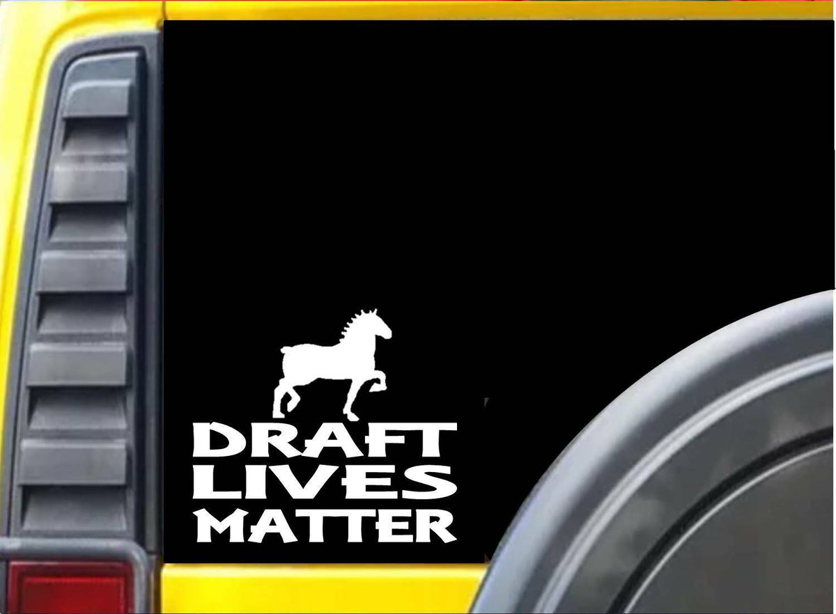 Draft Lives Matter Vinyl Decal – 6 Inch