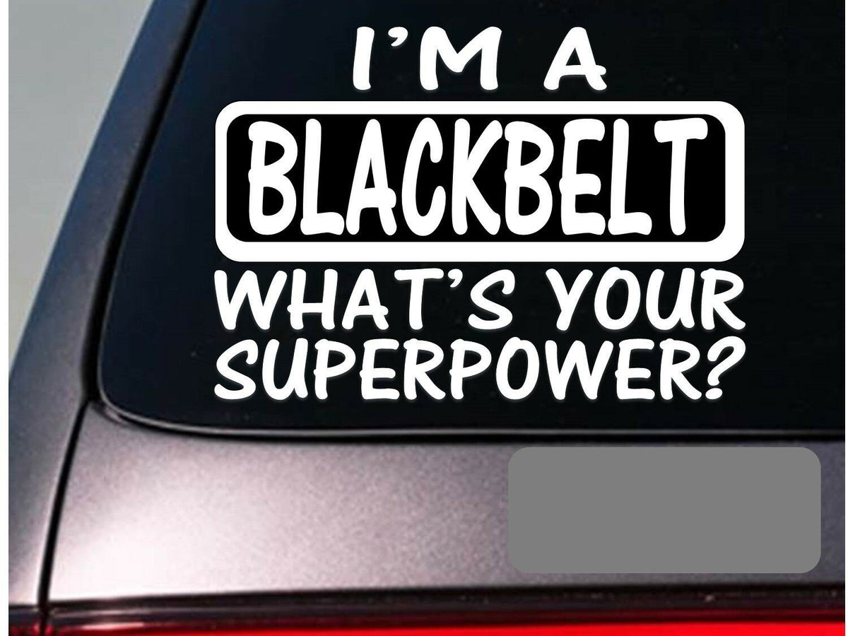 I'm a Blackbelt Vinyl Decal