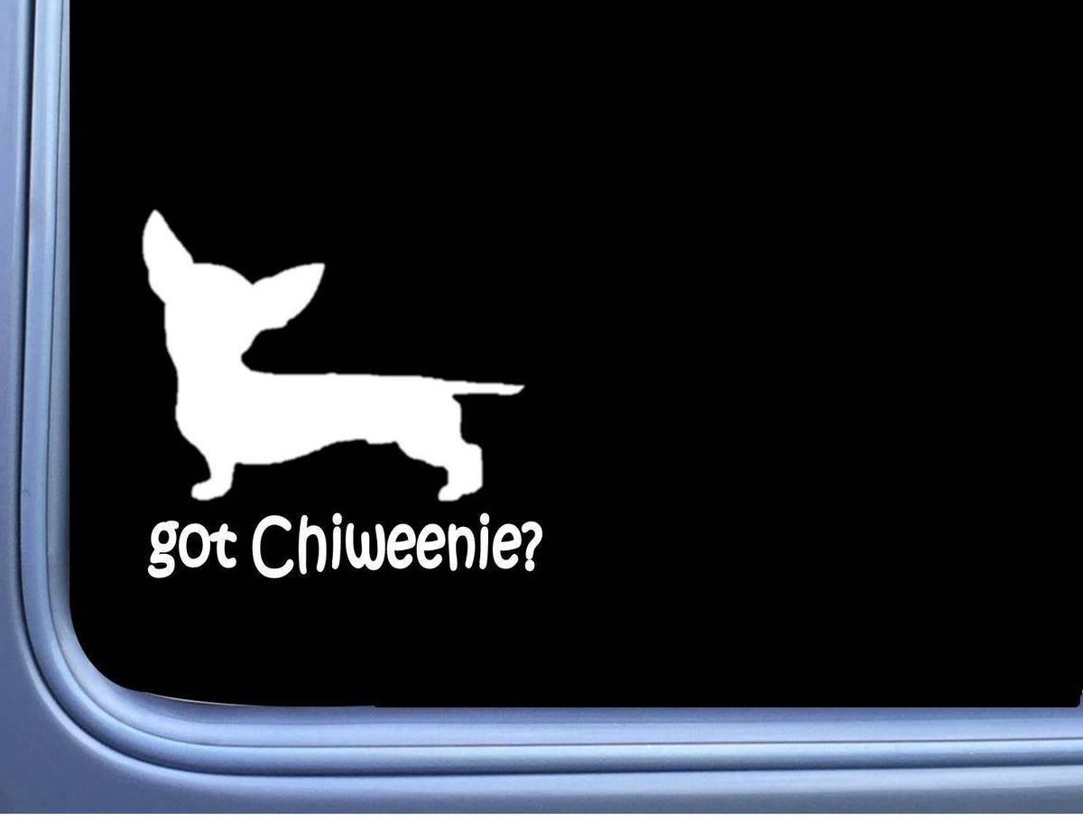 Got Chiweenie Vinyl Decal – 6 Inch
