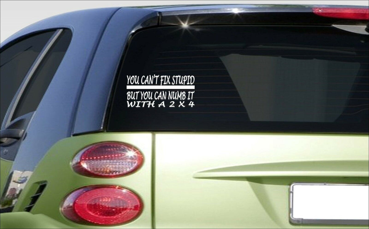 You Cant Fix Stupid Numb It 2X4 Vinyl Decal – 8 Inch