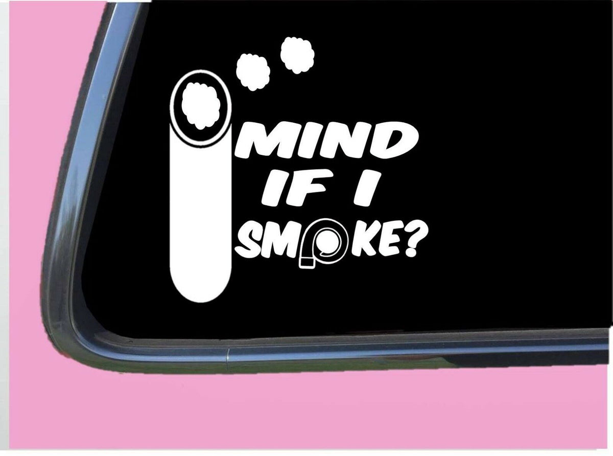 Mind If I Smoke Vinyl Decal – 6 Inch