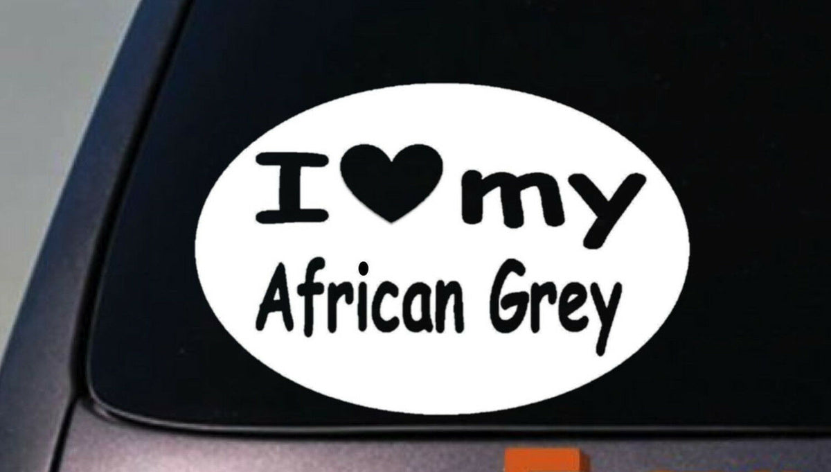 I Love My African Grey Parrot Vinyl Decal