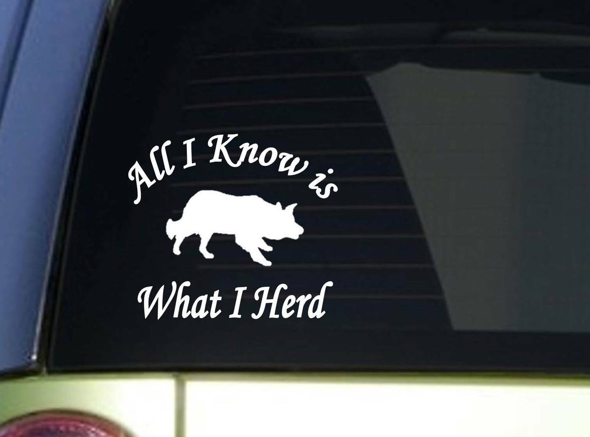 All I Know Border Collie Sitcker Vinyl Decal – 6 Inch