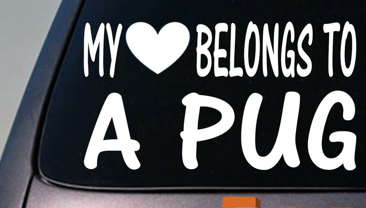 My Heart Belongs to a Pug Vinyl Decal