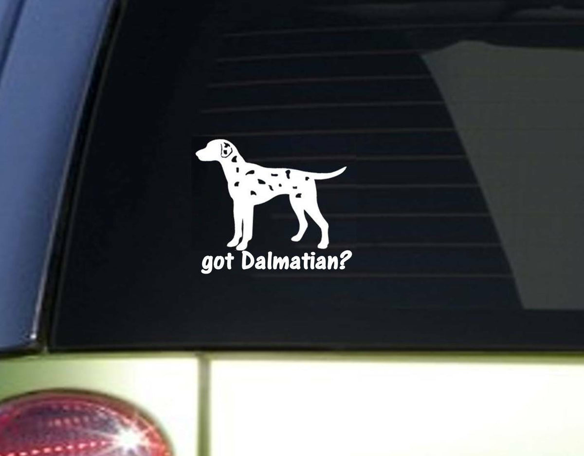 Got Dalmatian Vinyl Decal – 6 Inch