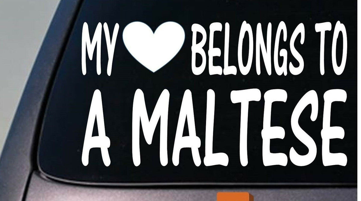 My Heart Belongs to a Maltese Vinyl Decal