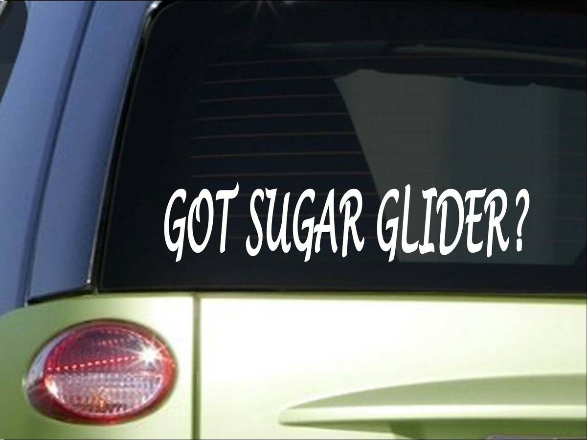 Got Sugar Glider Vinyl Decal – 8 Inch