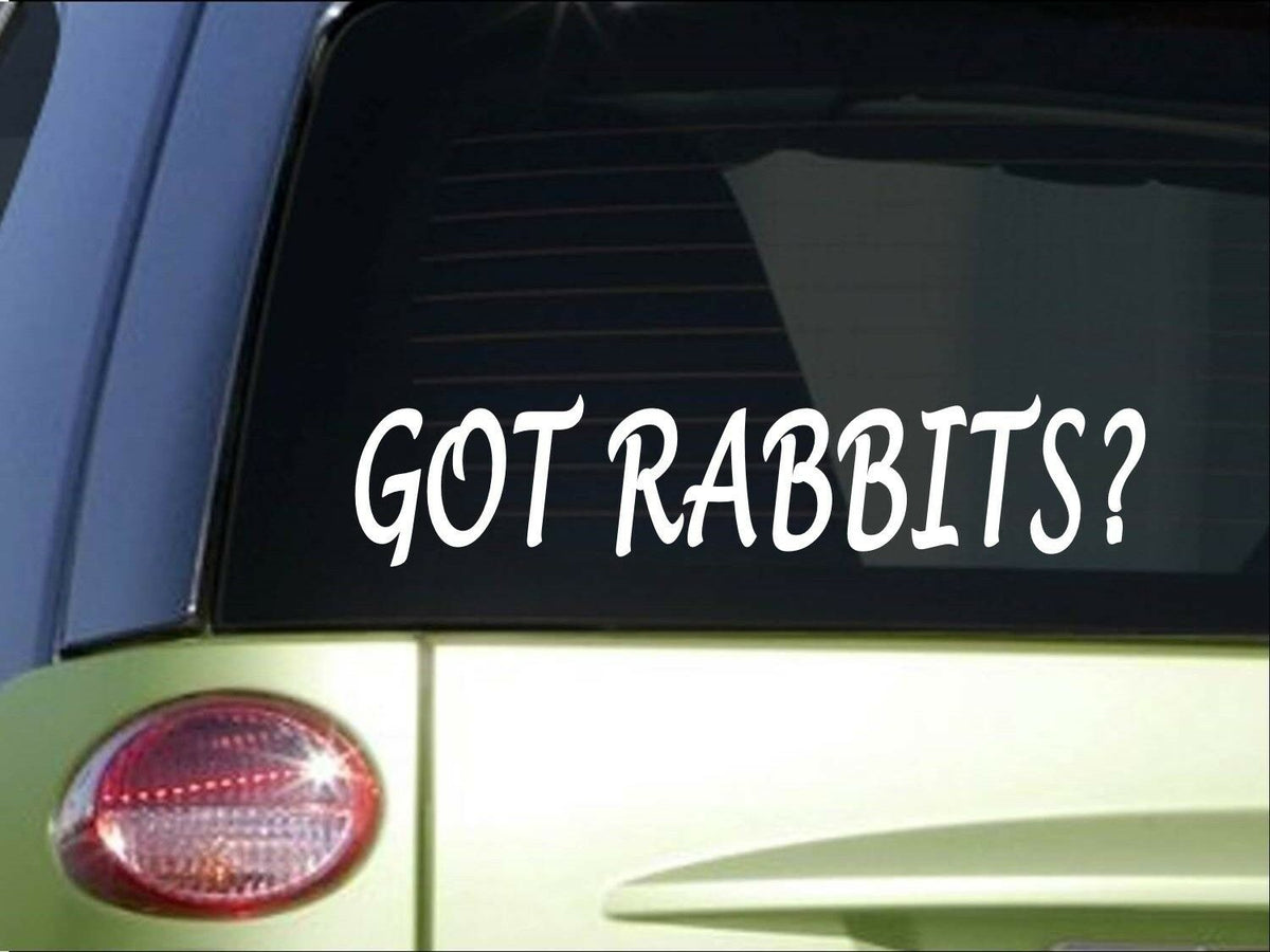 Got Rabbits Vinyl Decal – 8 Inch
