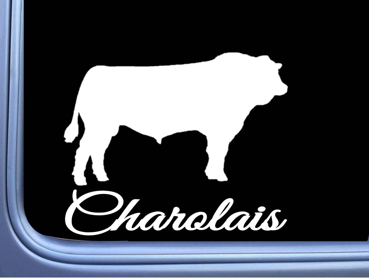 Charolais Bull Vinyl Decal – 6 Inch