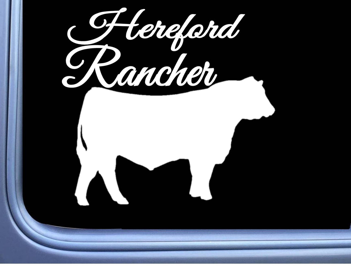 Hereford Rancher Bull Vinyl Decal – 6 Inch