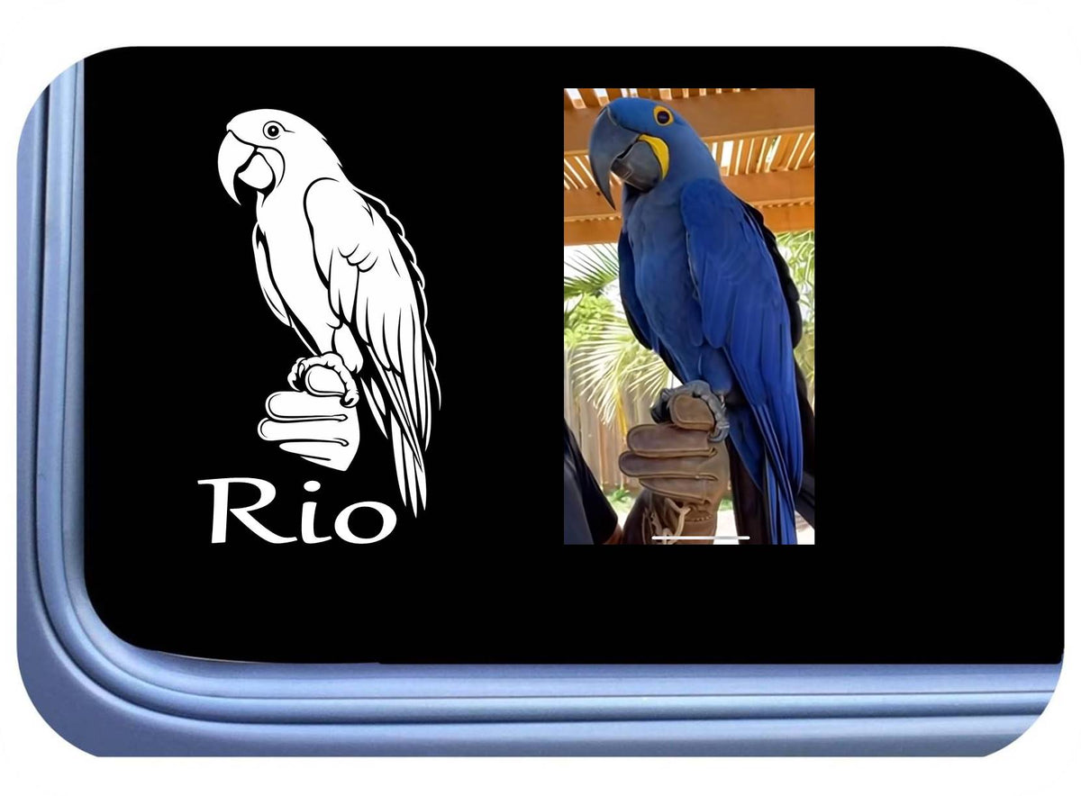 Custom Pet Vinyl Decal