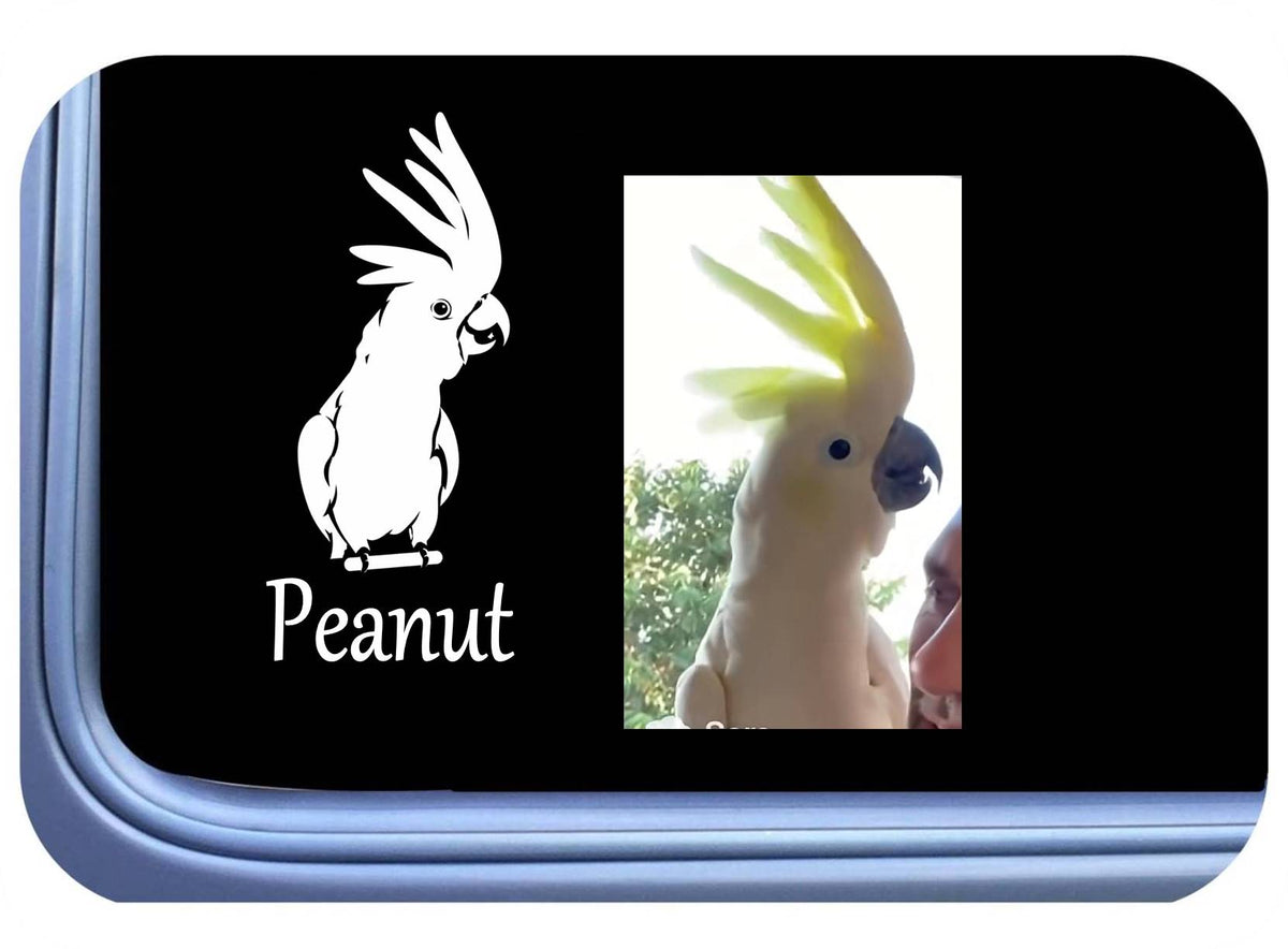 Custom Pet Vinyl Decal