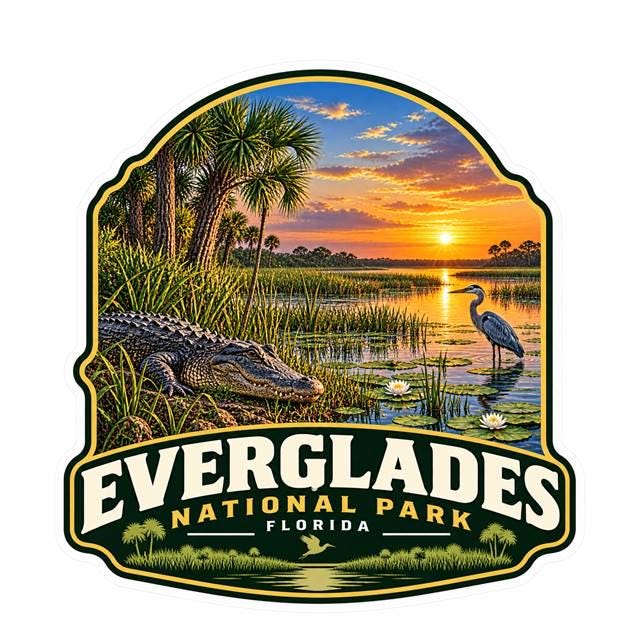 Everglades National Park Sticker, Florida Decal, Alligator Sticker, Florida Everglades Souvenir, Hiking Camping Travel Sticker ST 031