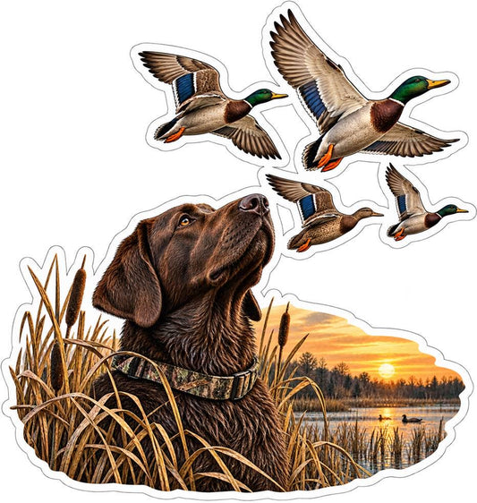 Chocolate Lab Duck Hunting Sticker – Marsh Sunset, Flying Mallards (Vinyl Decal) ST 008
