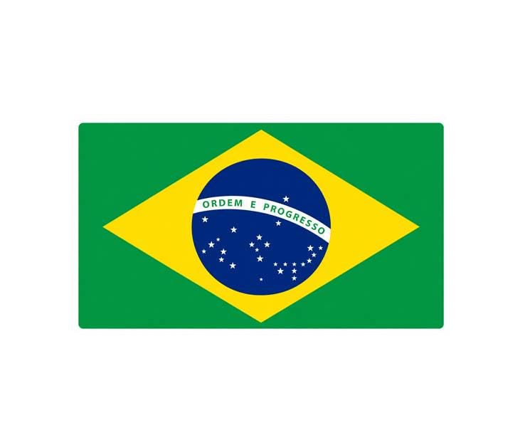 Brazil Flag Sticker, Brazilian Flag Decal, Brazil Vinyl Sticker, Brazilian Pride Sticker, Brasil Flag Decal ST 068