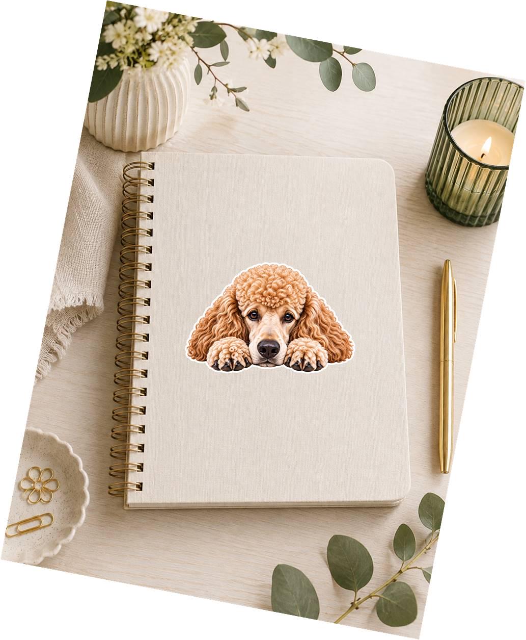 Poodle Sticker, Standard Poodle Sticker, Poodle Dog Decal, Poodle Mom Gift, Poodle Lover Gift, Cute Dog Vinyl Sticker st 095