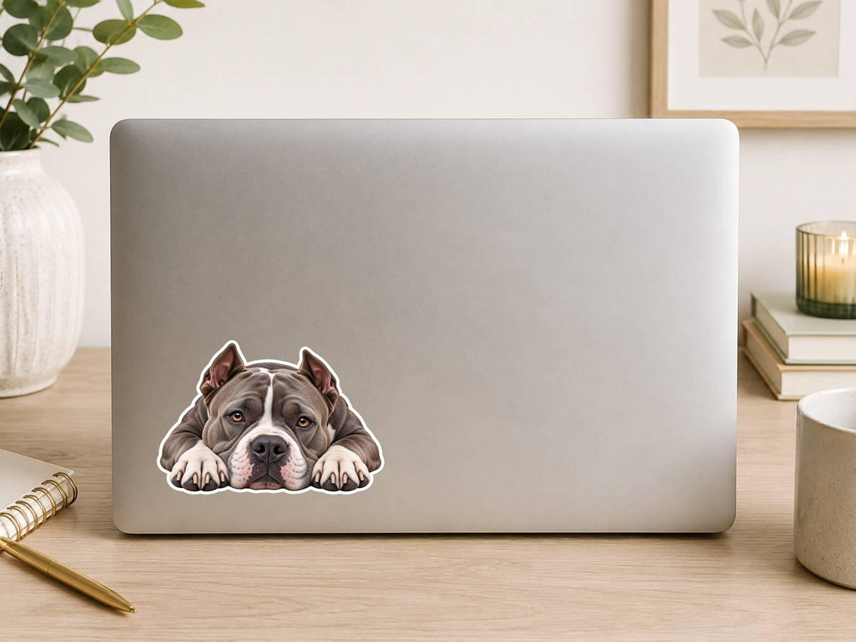 American Bully Sticker, Bully Dog Vinyl Decal, Waterproof Laminated Dog Sticker st 106