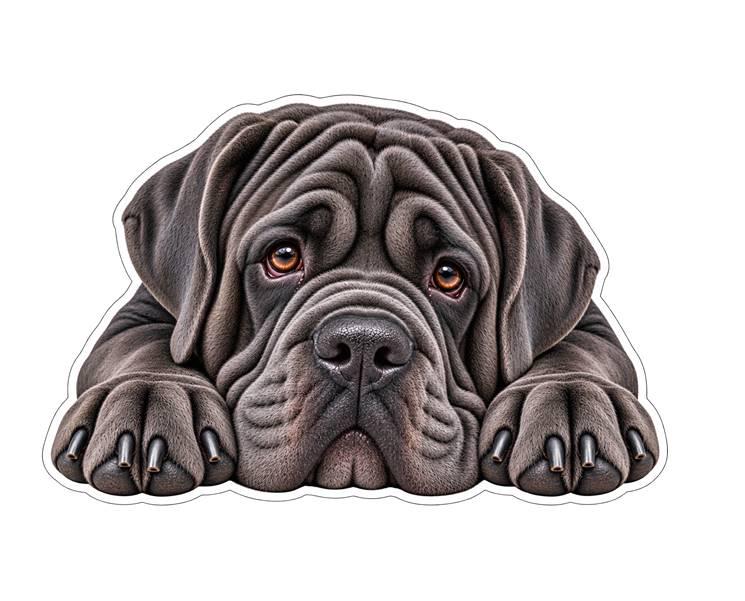 Neapolitan Mastiff Sticker, Mastino Dog Vinyl Decal, Waterproof Laminated Dog Sticker st 112