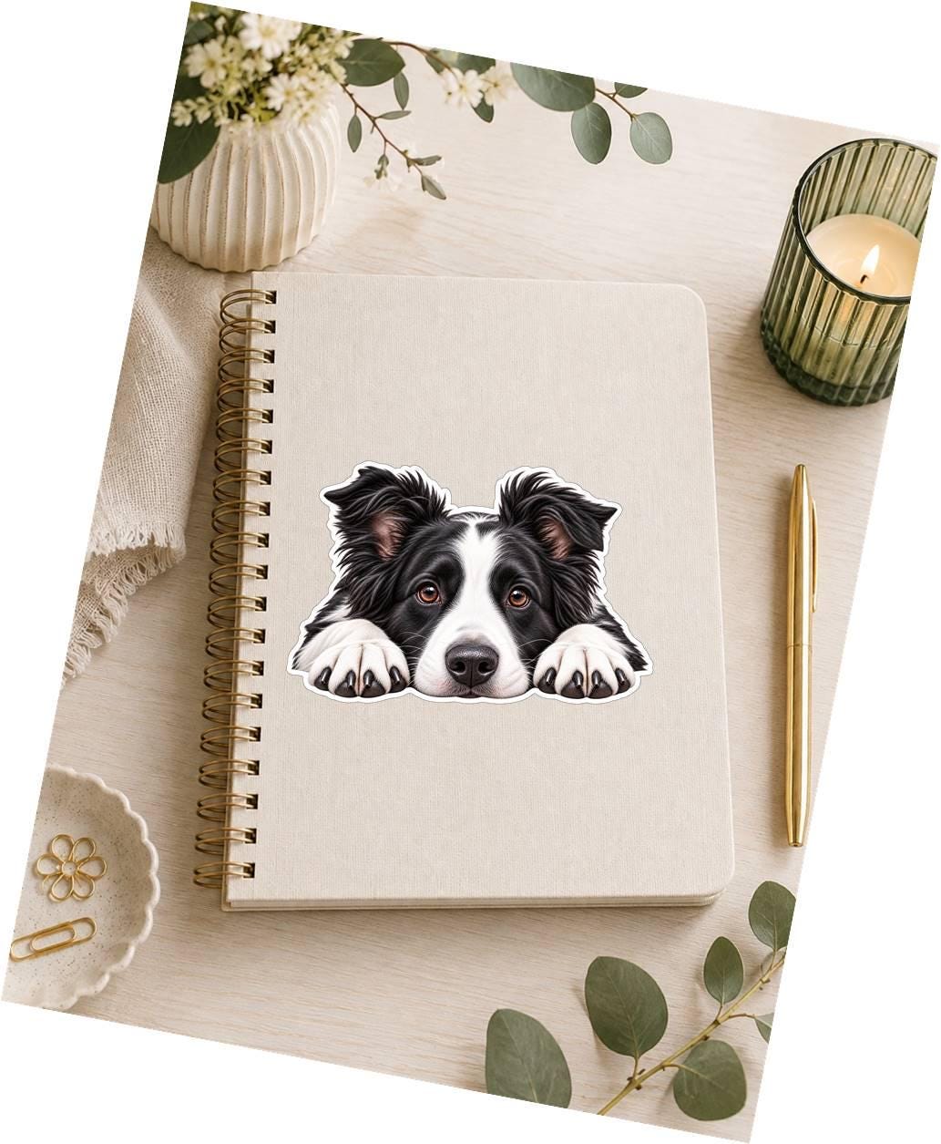 Border Collie Sticker, Border Collie Dog Vinyl Decal, Waterproof Laminated Dog Sticker st 113