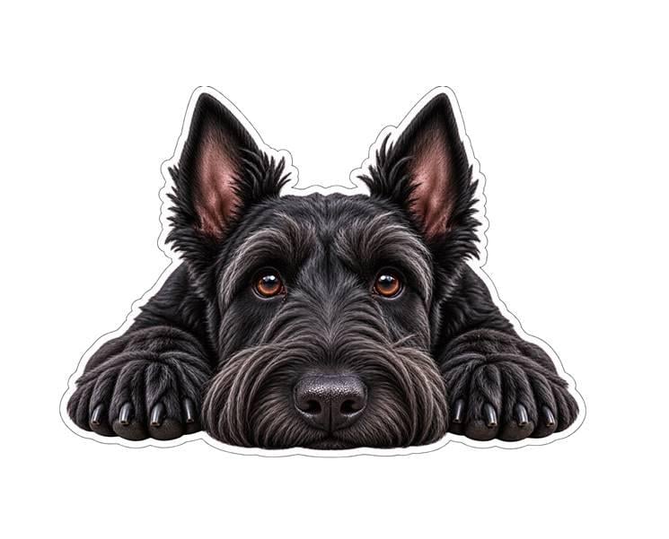Scottie Dog Sticker, Scottish Terrier Vinyl Decal, Waterproof Laminated Dog Sticker st 116