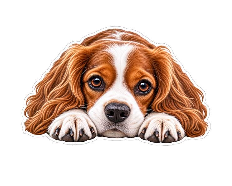 Cavalier King Charles Spaniel Sticker, Cavalier Dog Vinyl Decal, Waterproof Laminated Dog st 125