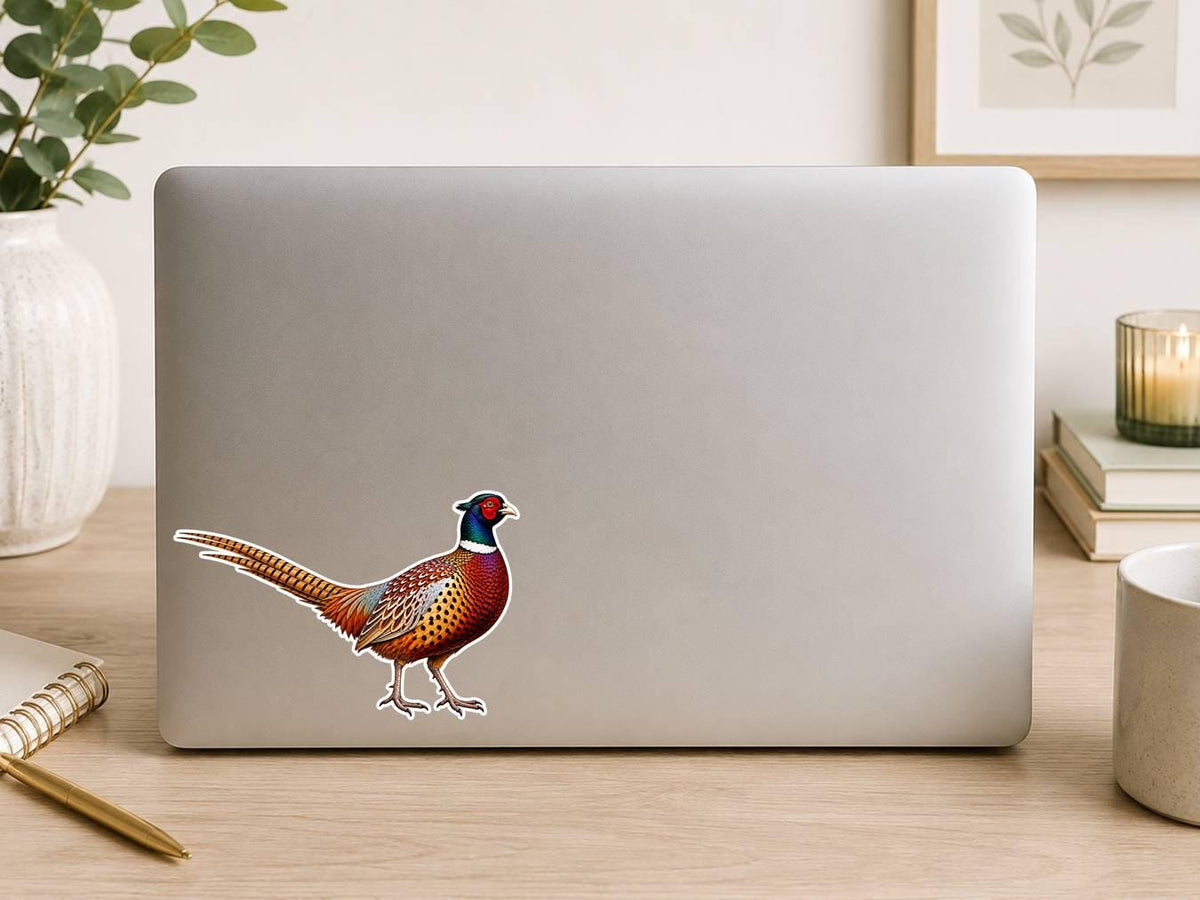 Pheasant Sticker, Ringneck Pheasant Vinyl Decal, Bird Hunting Sticker ST 130