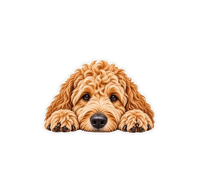 Goldendoodle Sticker, Doodle Dog Sticker, Golden Doodle Decal, Dog Lover Gift, Cute Goldendoodle Vinyl Sticker, Doodle Mom Gift ST 083