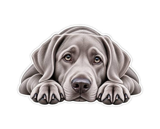 Labrador Retriever Sticker, Lab Sticker, Labrador Dog Decal, Lab Mom Gift, Dog Lover Gift, Vinyl Dog Sticker ST 084