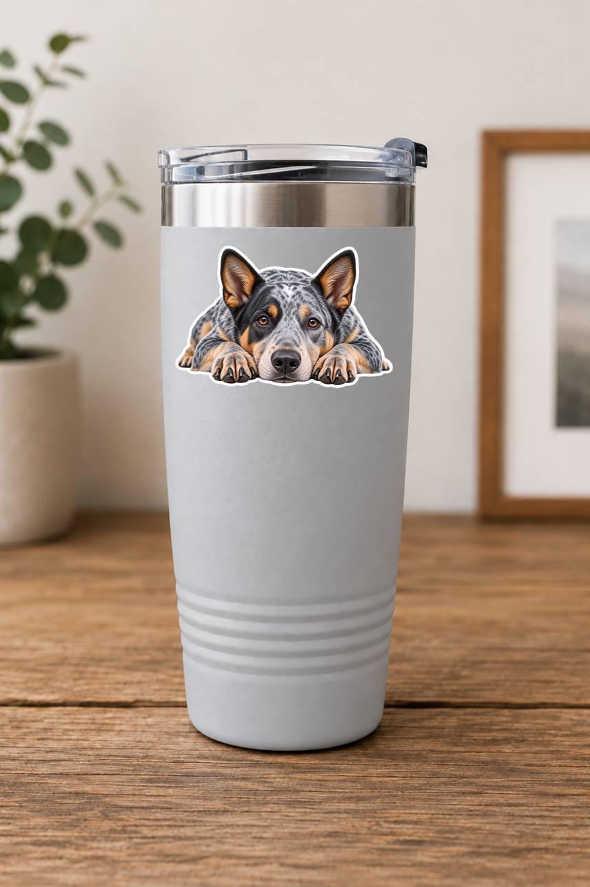 Blue Heeler Sticker, Australian Cattle Dog Sticker, Heeler Dog Decal, Cattle Dog Gift, Dog Lover Vinyl Sticker st 089