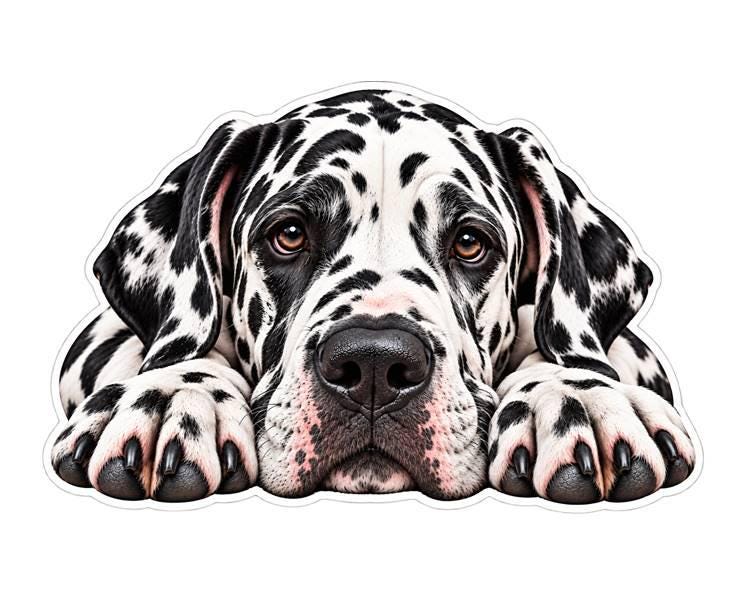 Great Dane Sticker, Great Dane Dog Vinyl Decal, Waterproof Laminated Dog Sticker st 103