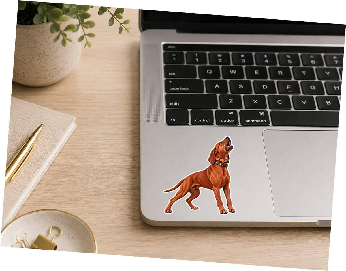Coonhound Sticker | Treeing Hound Dog Decal | Bluetick Walker Redbone Black and Tan Redtick st 163