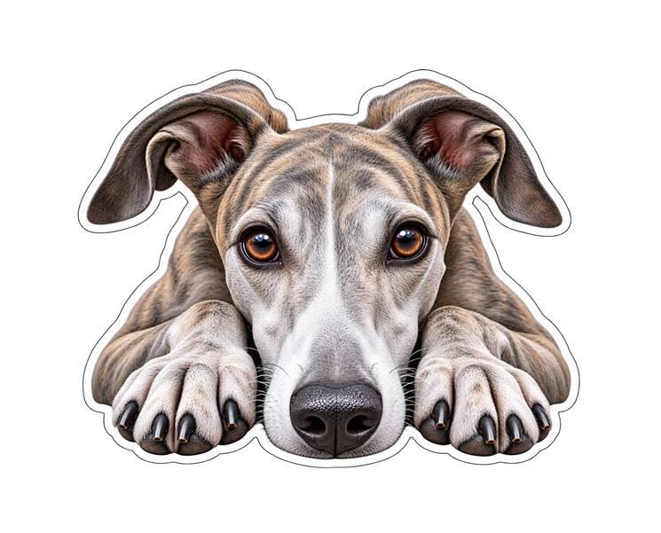 Greyhound Sticker, Running Greyhound Vinyl Decal, Waterproof Laminated Dog Sticker st 110