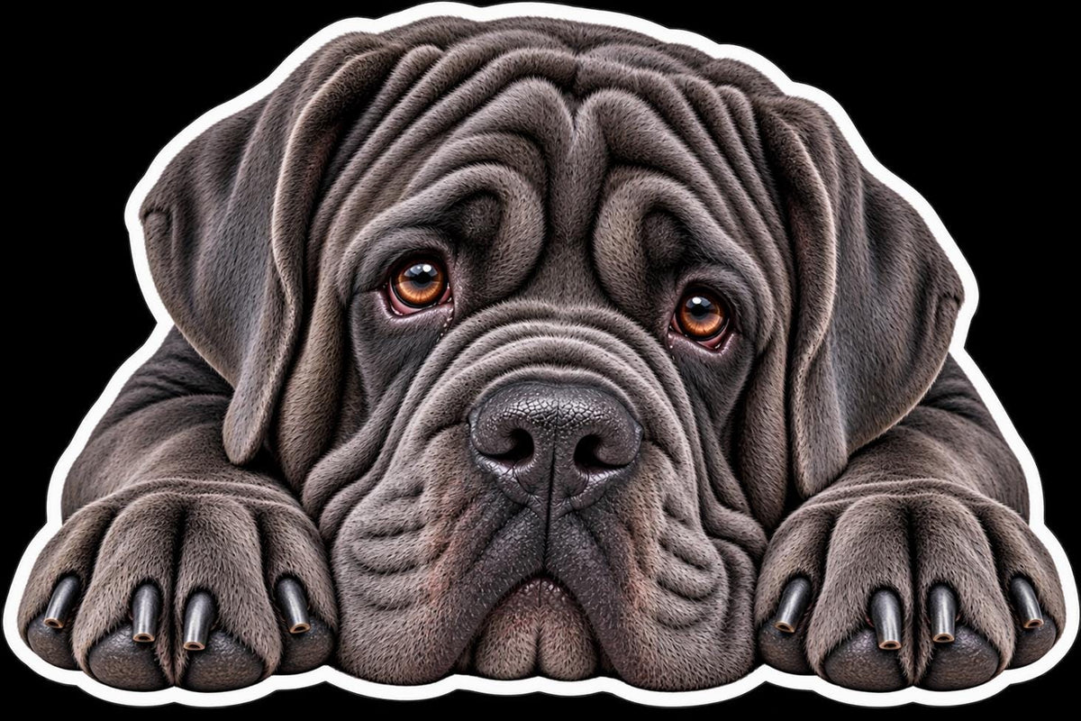 Neapolitan Mastiff Sticker, Mastino Dog Vinyl Decal, Waterproof Laminated Dog Sticker st 112