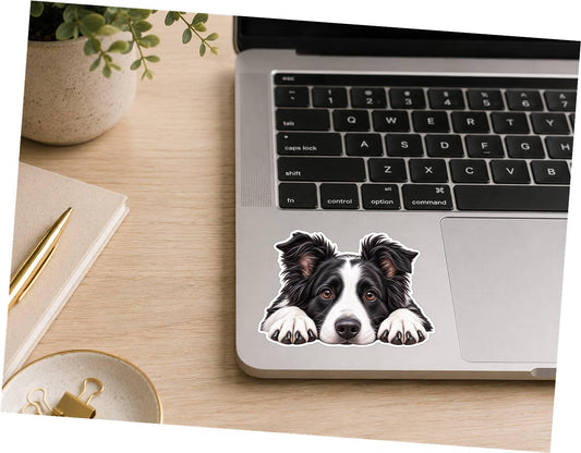Border Collie Sticker, Border Collie Dog Vinyl Decal, Waterproof Laminated Dog Sticker st 113