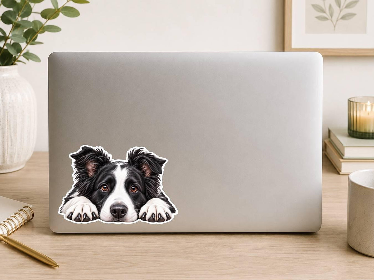 Border Collie Sticker, Border Collie Dog Vinyl Decal, Waterproof Laminated Dog Sticker st 113