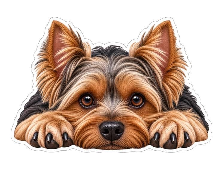 Yorkie Sticker, Yorkshire Terrier Dog Vinyl Decal, Waterproof Laminated Dog Sticker st 114