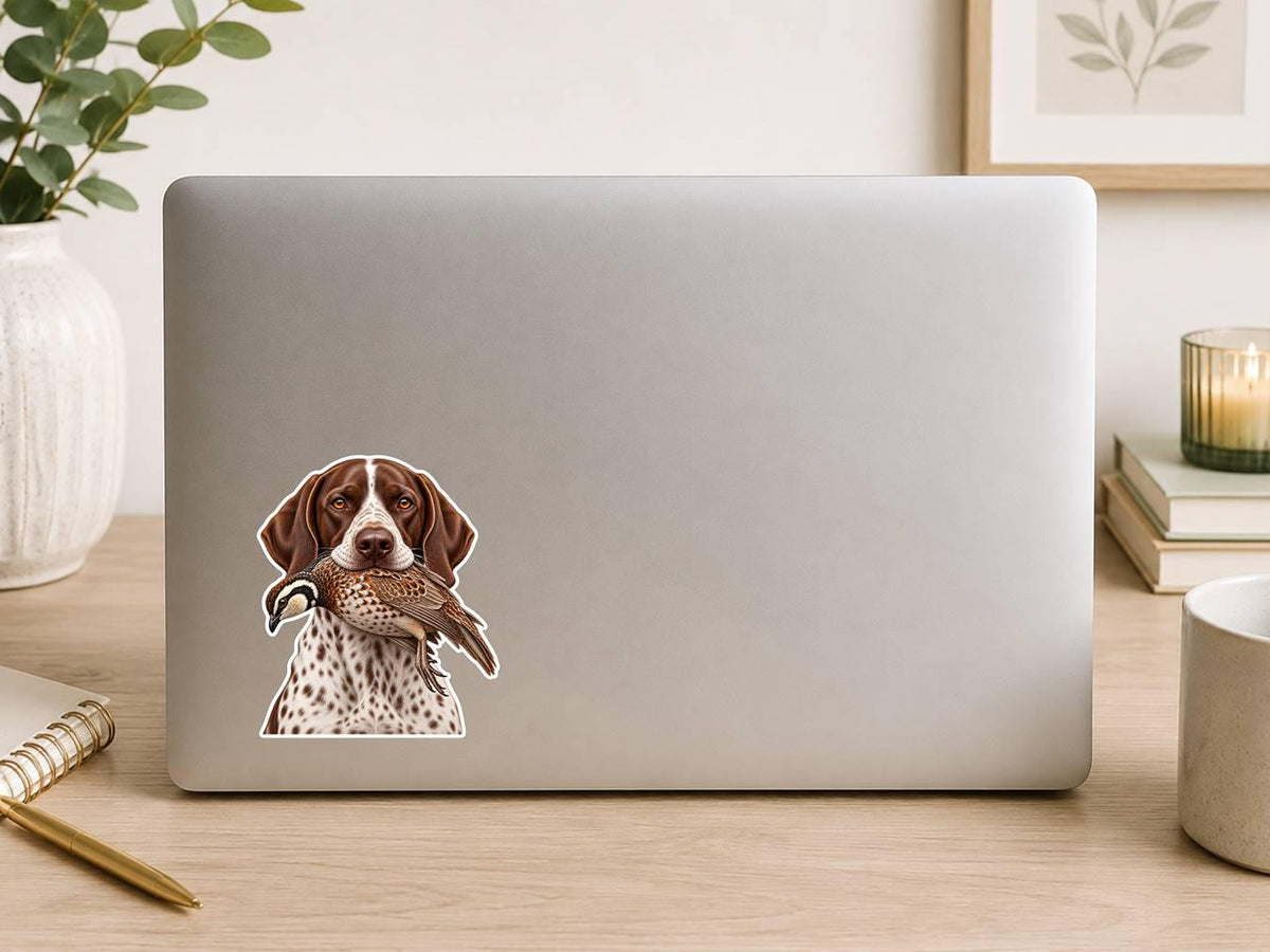 English Pointer Sticker, Pointer Hunting Dog Vinyl Decal, Quail Hunting Sticker ST 126
