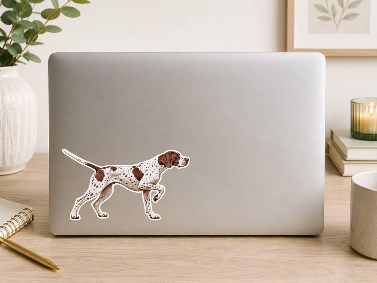 English Pointer Sticker, Bird Dog Vinyl Decal, Quail Hunting Dog Sticker ST 131