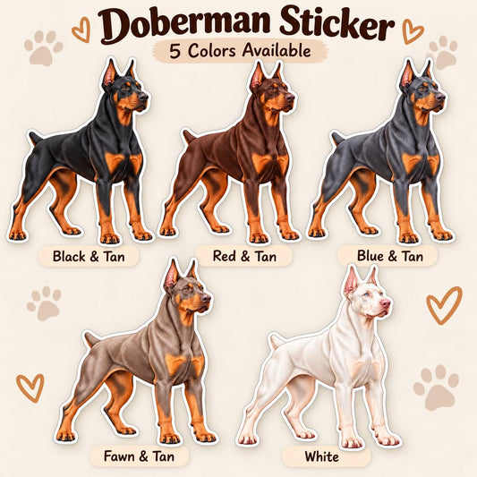 Doberman Pinscher Sticker, Doberman Dog Vinyl Decal, Waterproof Laminated Dog Sticker st 173